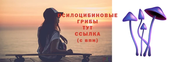 СК Зеленодольск