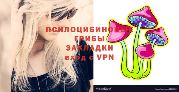 мдпв Заволжье