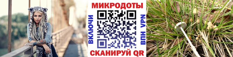 Псилоцибиновые грибы Magic Shrooms  Купить закладки  Кондрово 